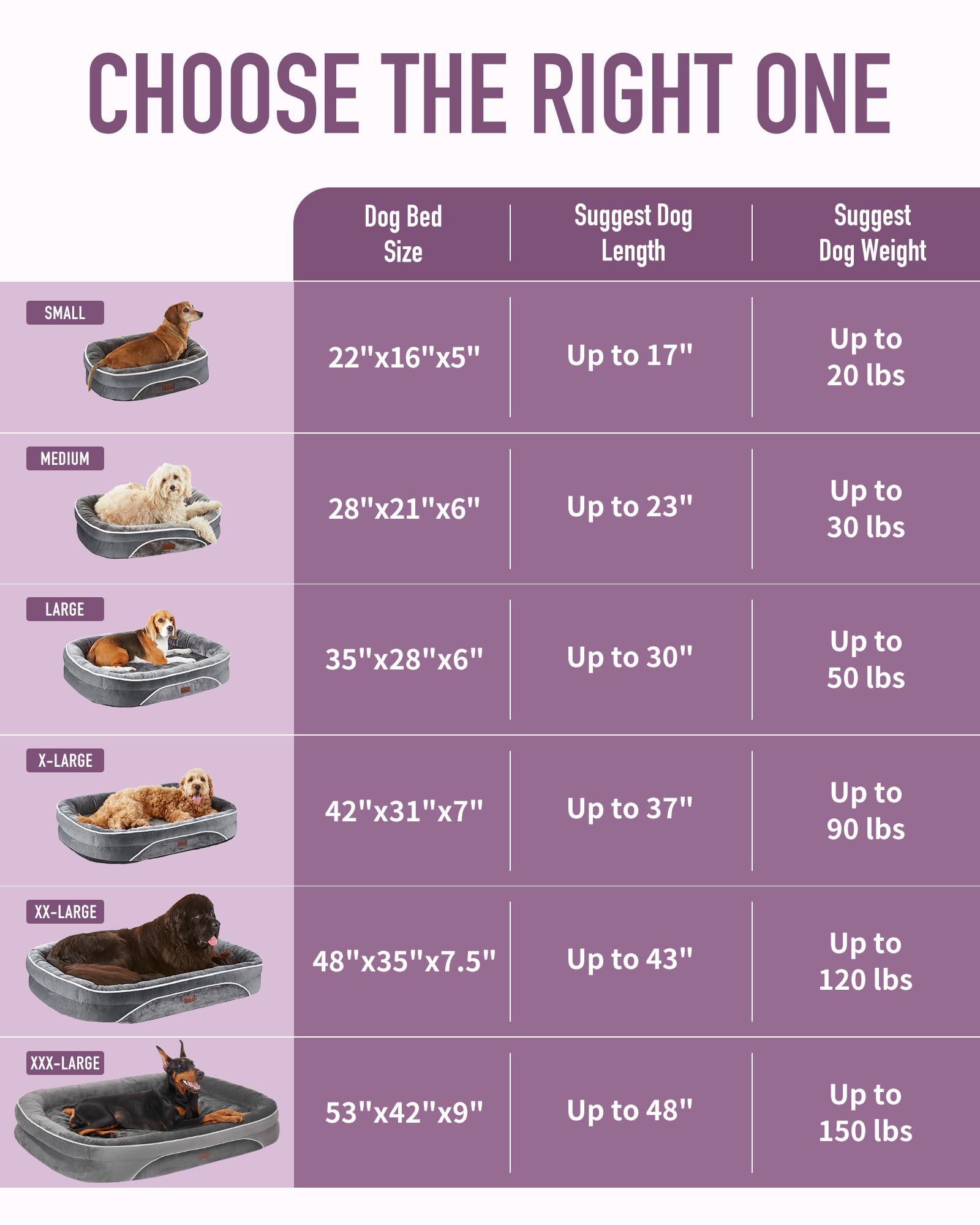 OhGeni | Orthopedic Dog Couch  Bed | Large (35 x 28 x 6 Inch)| Purple - aborderproducts