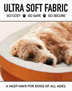OhGeni | Orthopedic Dog Couch Bed | Large (35 x 28 x 6 Inch)| Orange - aborderproducts
