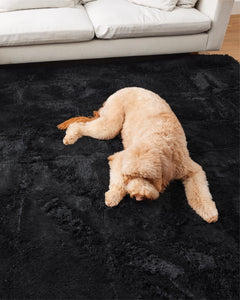 Ophanie Upgrade Fluffy Shaggy Soft Area Rug | Black 5x8 - aborderproducts