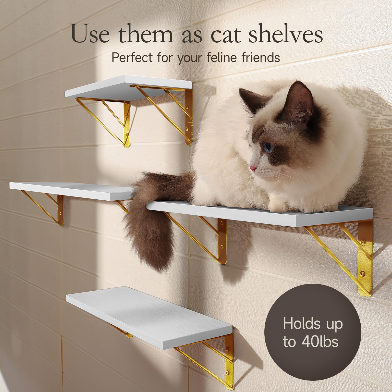 BAYKA | Floating Shelves | Set of 4 | White & Gold