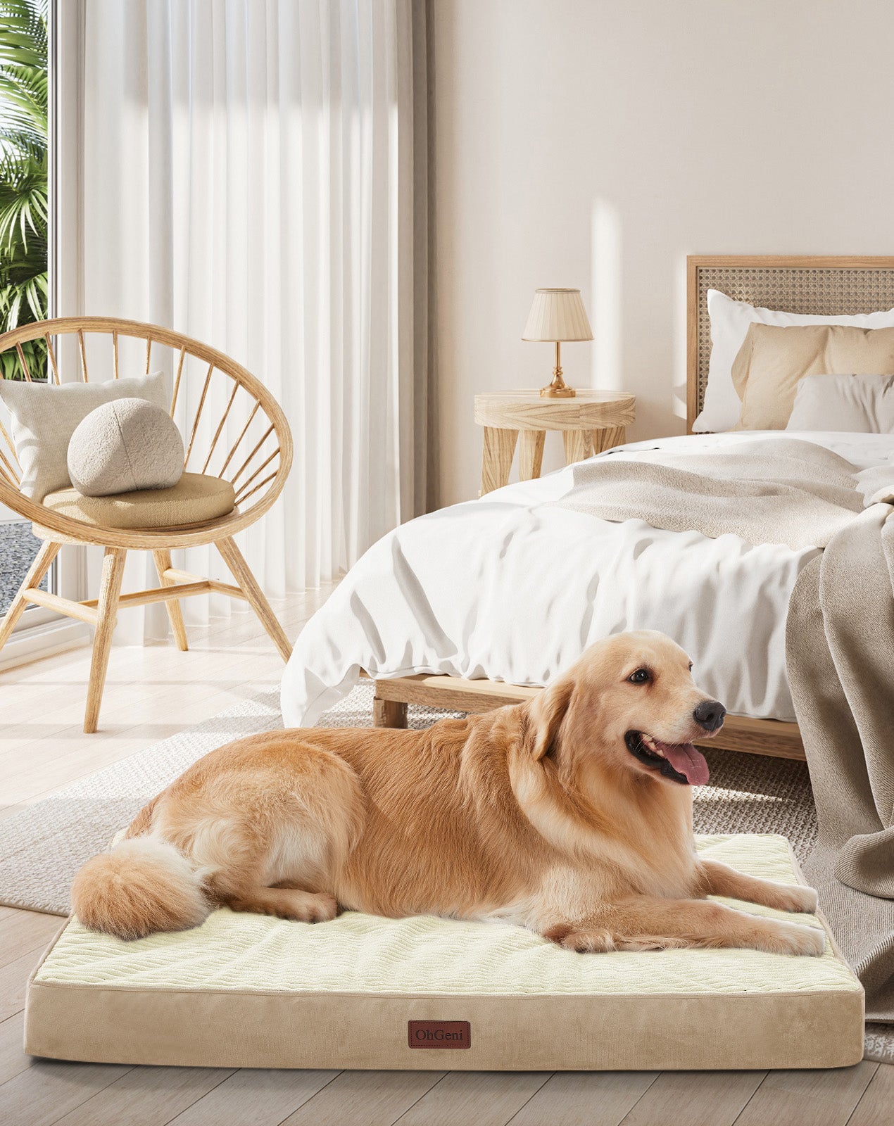 OhGeni | Orthopedic Waterproof & Machine Washable Dog Bed | 41 Inches | Khaki - aborderproducts