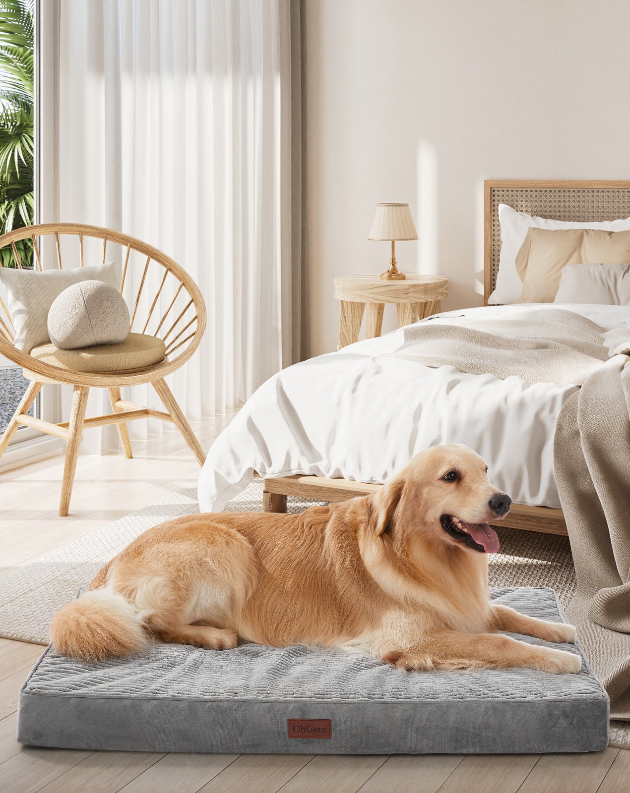 OhGeni | Flat Dog Bed | 41" | Gray - aborderproducts