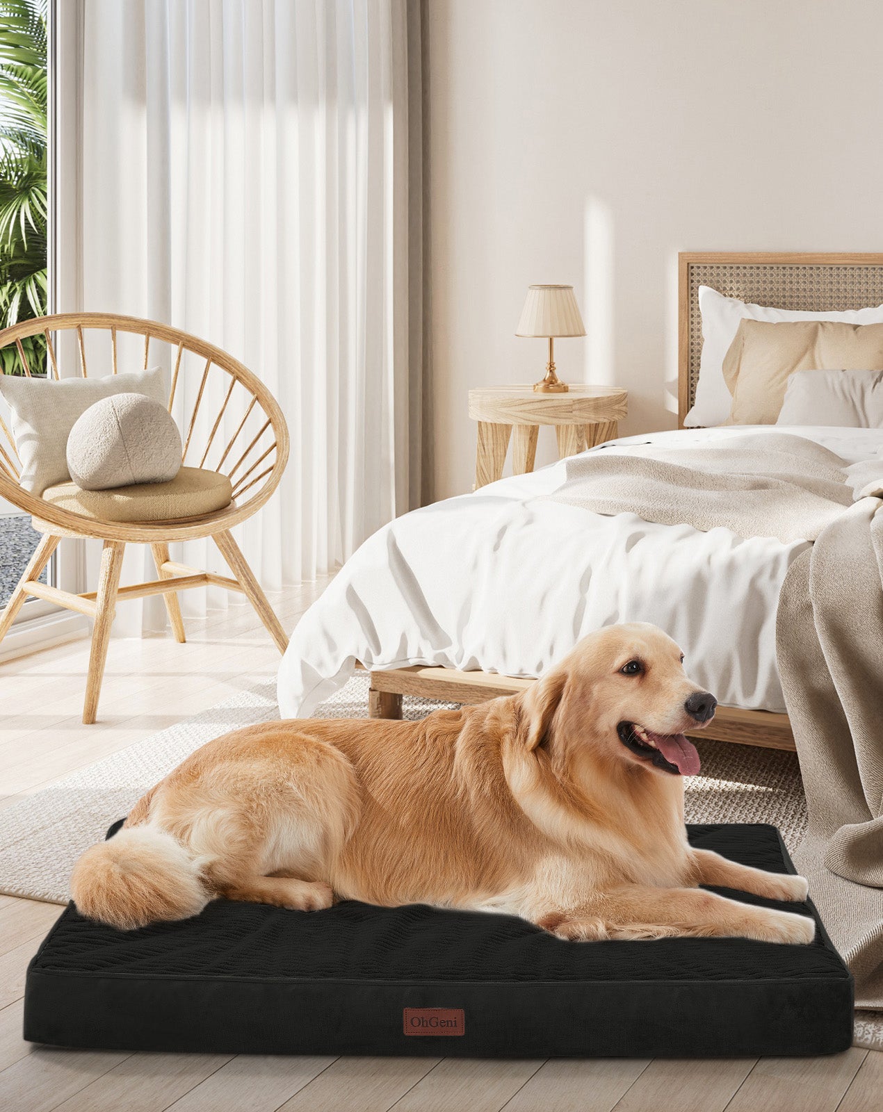 OhGeni | Orthopedic Waterproof & Machine Washable Dog Bed | 41 Inches | Black - aborderproducts