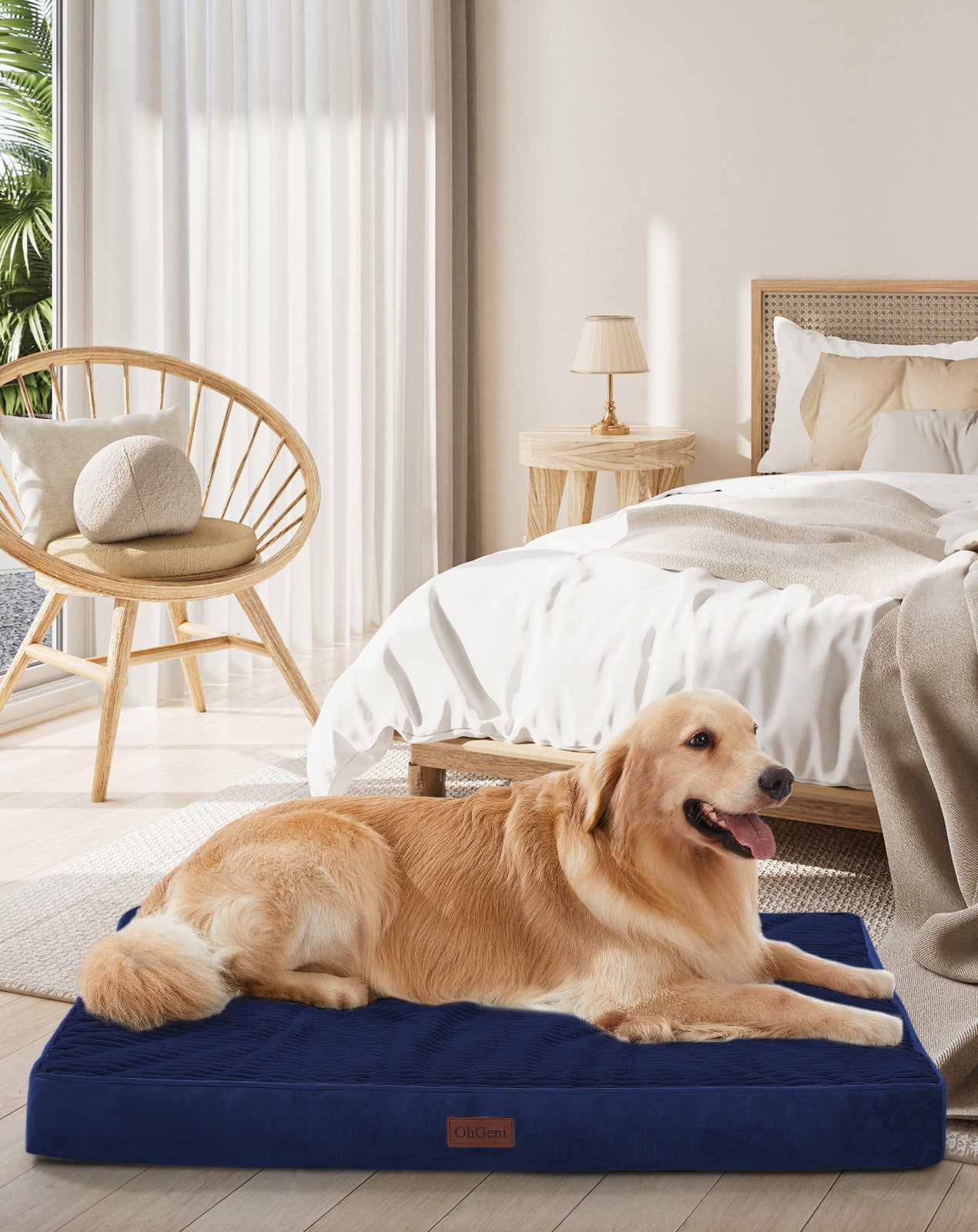 OhGeni | Orthopedic Waterproof & Machine Washable Dog Bed | 41 Inches | Navy - aborderproducts
