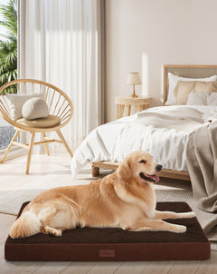 OhGeni | Orthopedic Waterproof & Machine Washable Dog Bed | 44 Inches | Brown - aborderproducts