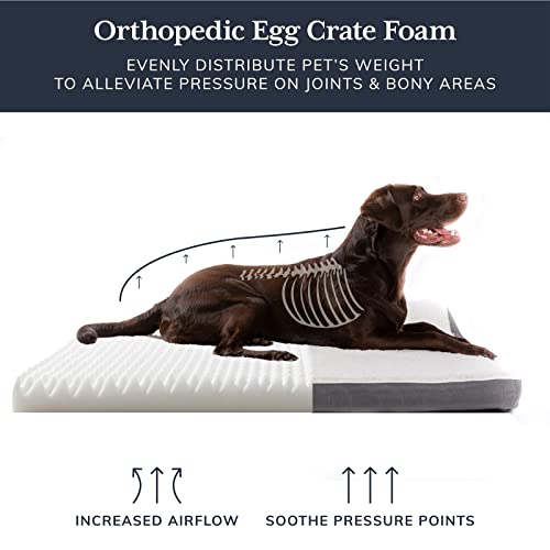 Dog Bed for Extra Large Dogs | Orthopedic Memory Foam | OhGeni - aborderproducts