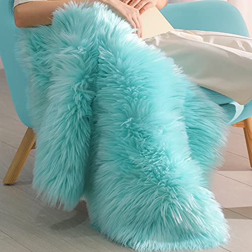 BAYKA Faux Sheepskin Fur Area Rug, Luxury Fluffy Area Rug, Soft Furry Carpet Rug for Bedroom, Children’s Room, Decor Rug 2x3 Feet, Light Blue - aborderproducts